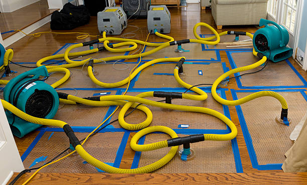 Professional Structural Drying And Dehumidification technician working in Westover, WV