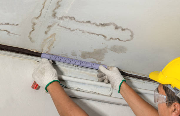 Affordable Water Damage Repair solutions in Westover, WV
